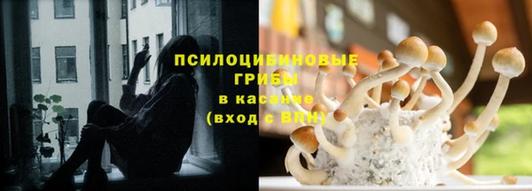 сатива Белокуриха