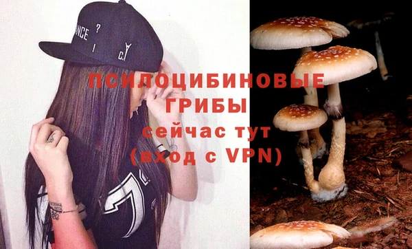 сатива Белокуриха