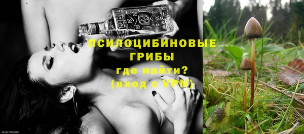 бошки Балахна