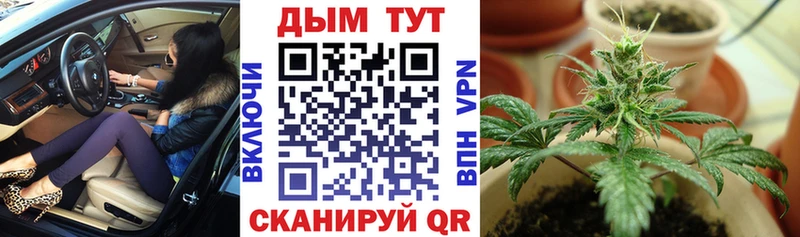 Бошки марихуана марихуана  Бежецк 